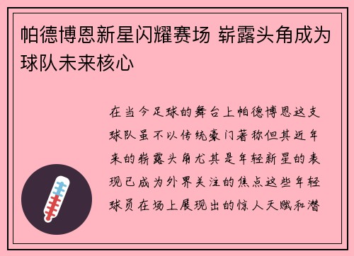 帕德博恩新星闪耀赛场 崭露头角成为球队未来核心